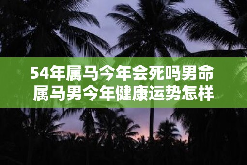 54年属马今年会死吗男命 属马男今年健康运势怎样