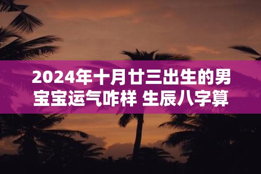 2025年十月廿三出生的男宝宝运气咋样 生辰八字算命