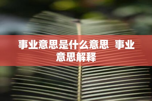 事业意思是什么意思  事业意思解释