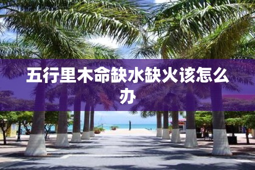 五行里木命缺水缺火该怎么办