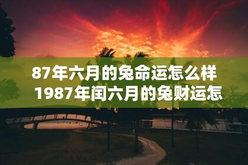 87年六月的兔命运怎么样  1987年闰六月的兔财运怎样