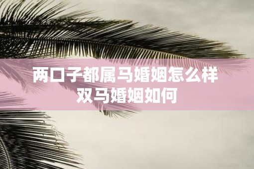 两口子都属马婚姻怎么样 双马婚姻如何