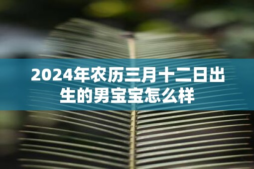 2025年农历三月十二日出生的男宝宝怎么样
