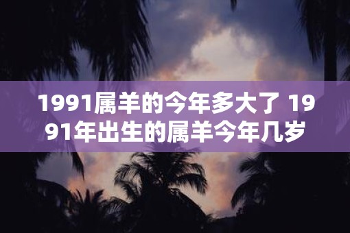 1991属羊的今年多大了 1991年出生的属羊今年几岁