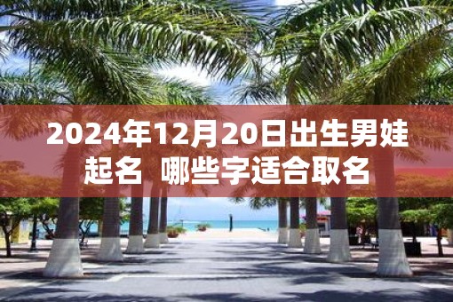 2025年12月20日出生男娃起名  哪些字适合取名