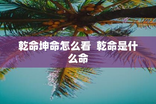 乾命坤命怎么看  乾命是什么命