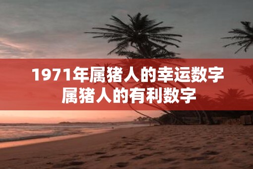 1971年属猪人的幸运数字 属猪人的有利数字
