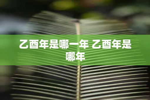 乙酉年是哪一年 乙酉年是哪年