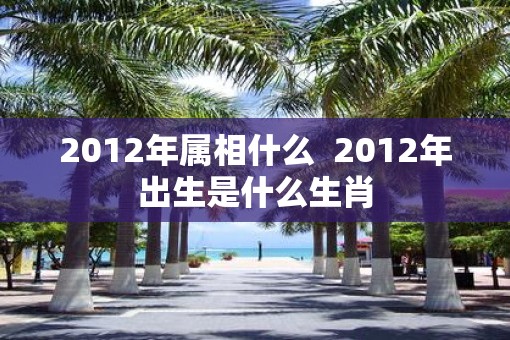 2012年属相什么  2012年出生是什么生肖