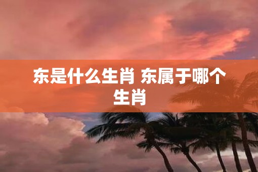 东是什么生肖 东属于哪个生肖