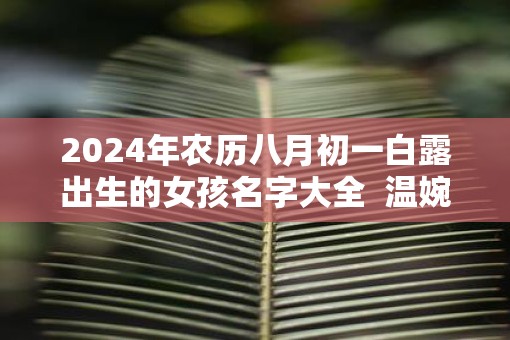 2025年农历八月初一白露出生的女孩名字大全  温婉好听