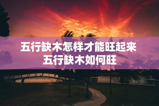 五行缺木怎样才能旺起来 五行缺木如何旺