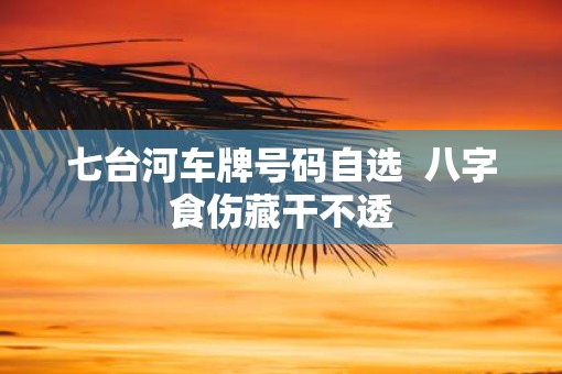 七台河车牌号码自选  八字食伤藏干不透