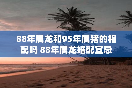 88年属龙和95年属猪的相配吗 88年属龙婚配宜忌