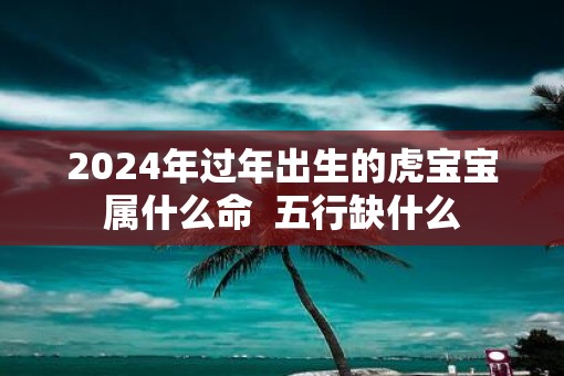 2025年过年出生的虎宝宝属什么命  五行缺什么