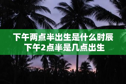 下午两点半出生是什么时辰 下午2点半是几点出生