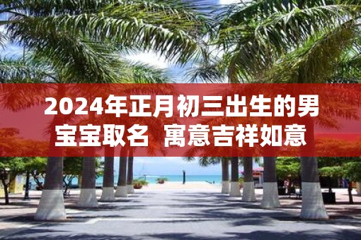 2025年正月初三出生的男宝宝取名  寓意吉祥如意