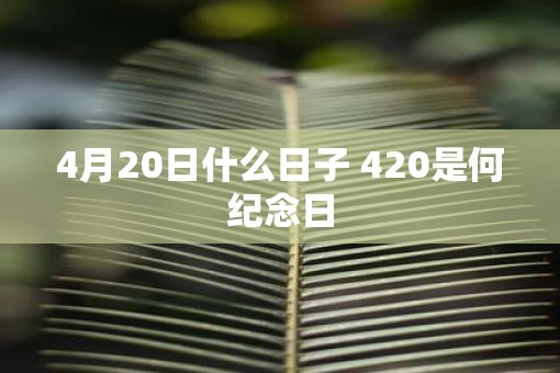 4月20日什么日子 420是何纪念日