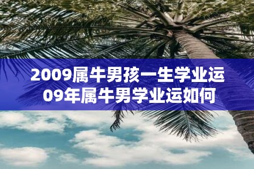 2009属牛男孩一生学业运 09年属牛男学业运如何