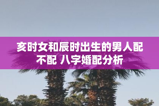 亥时女和辰时出生的男人配不配 八字婚配分析