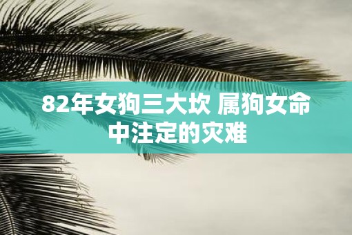 82年女狗三大坎 属狗女命中注定的灾难