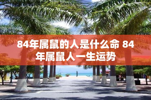 84年属鼠的人是什么命 84年属鼠人一生运势