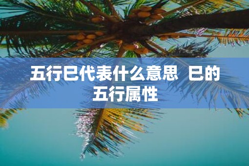 五行巳代表什么意思  巳的五行属性