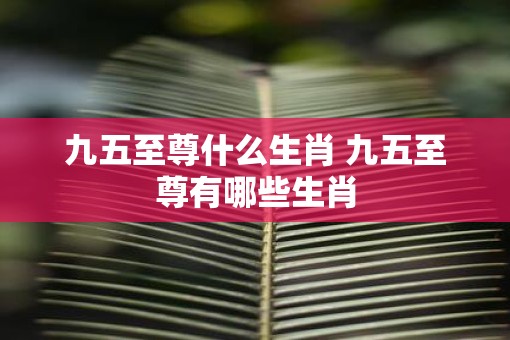 九五至尊什么生肖 九五至尊有哪些生肖