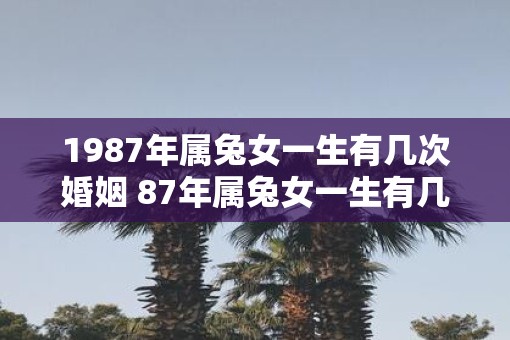 1987年属兔女一生有几次婚姻 87年属兔女一生有几个子女