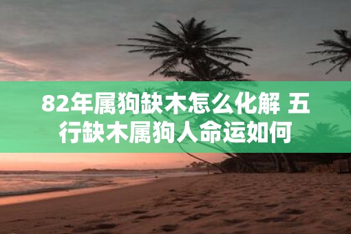 82年属狗缺木怎么化解 五行缺木属狗人命运如何