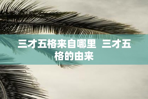 三才五格来自哪里  三才五格的由来