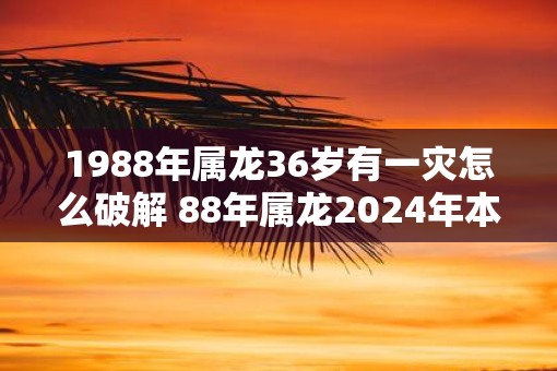 1988年属龙36岁有一灾怎么破解 88年属龙2025年本命年运势如何