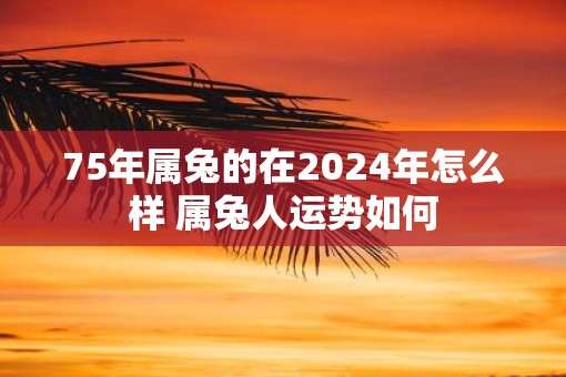 75年属兔的在2025年怎么样 属兔人运势如何