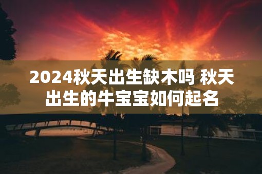 2025秋天出生缺木吗 秋天出生的牛宝宝如何起名