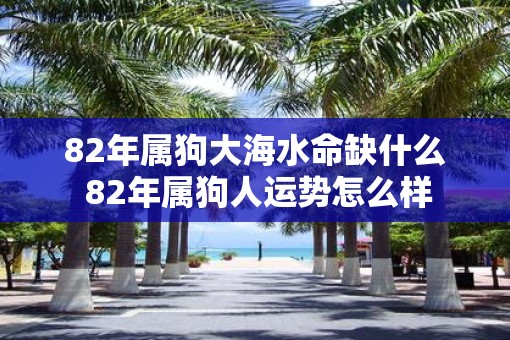 82年属狗大海水命缺什么 82年属狗人运势怎么样