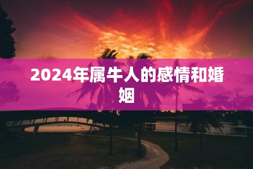 2025年属牛人的感情和婚姻