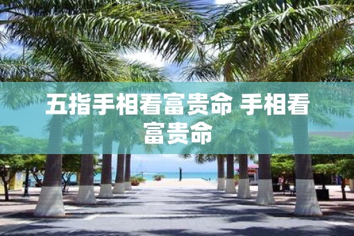 五指手相看富贵命 手相看富贵命