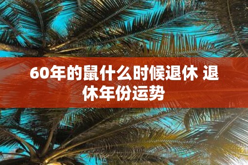 60年的鼠什么时候退休 退休年份运势