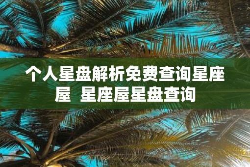 个人星盘解析免费查询星座屋  星座屋星盘查询