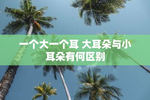 一个大一个耳 大耳朵与小耳朵有何区别