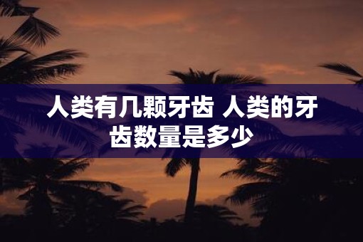 人类有几颗牙齿 人类的牙齿数量是多少