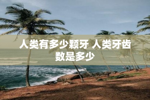 人类有多少颗牙 人类牙齿数是多少