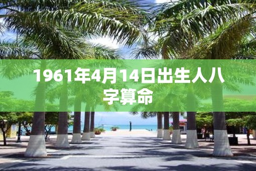 1961年4月14日出生人八字算命