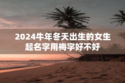 2025牛年冬天出生的女生起名字用梅字好不好