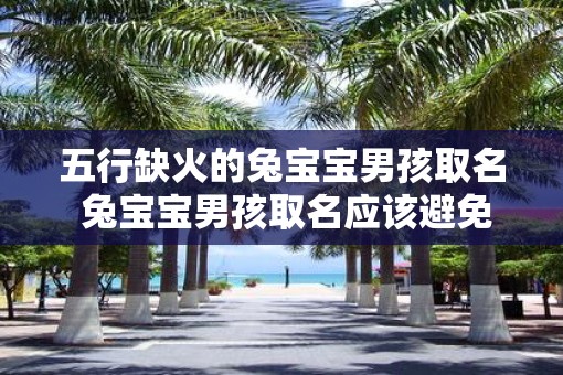 五行缺火的兔宝宝男孩取名 兔宝宝男孩取名应该避免哪些五行属性