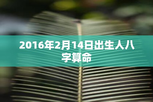 2016年2月14日出生人八字算命