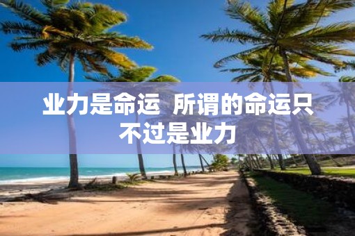 业力是命运  所谓的命运只不过是业力