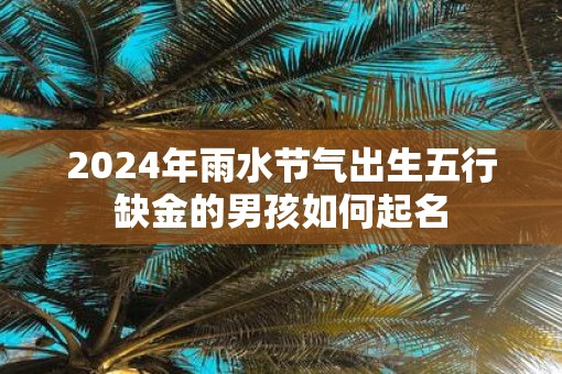 2025年雨水节气出生五行缺金的男孩如何起名