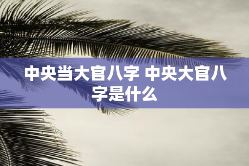 中央当大官八字 中央大官八字是什么