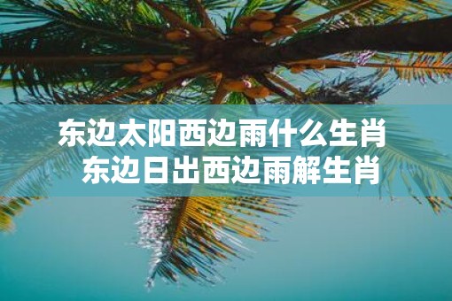 东边太阳西边雨什么生肖  东边日出西边雨解生肖